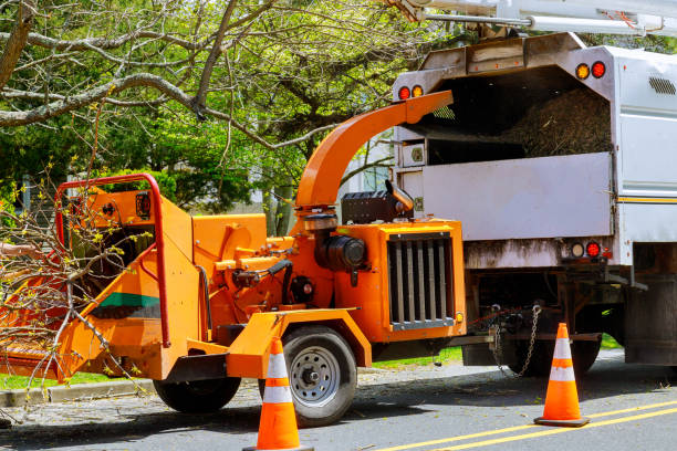 Tree Service Company in Northchase, NC